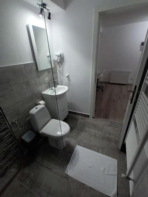 Old Town Studio 2 Apartment Nr 4 Бая Маре Екстериор снимка