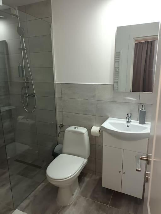 Old Town Studio 2 Apartment Nr 4 Бая Маре Екстериор снимка